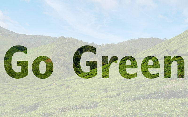 Ways to Go Green on Your Next Vacation