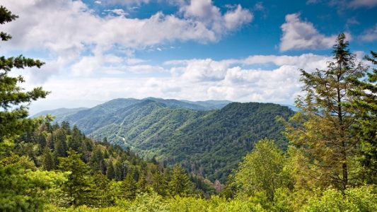 Mountain,Valley,At,Sunny,Day.,Great,Smoky,Mountain,National,Park,